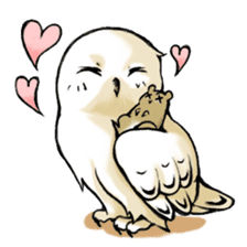 Wonder Baggao sticker #87234