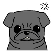 Kurukuru Pug sticker #88605