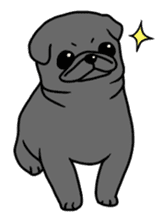 Kurukuru Pug sticker #88615