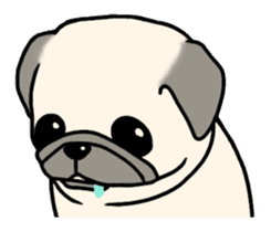 Kurukuru Pug sticker #88622