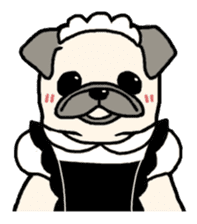 Kurukuru Pug sticker #88629