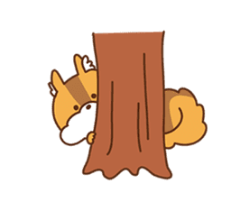 I am squirrel, 3 years old. sticker #88790