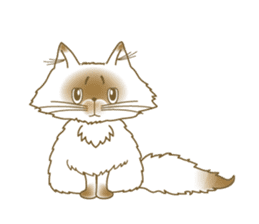 Himalayan cat Himao sticker #90128