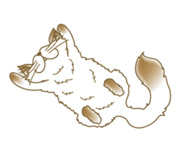 Himalayan cat Himao sticker #90139