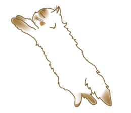 Himalayan cat Himao sticker #90154