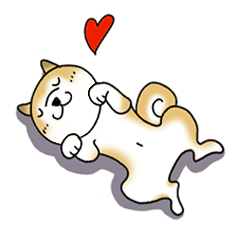 A Japanese dog, Maru