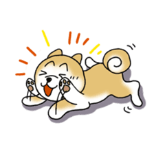 A Japanese dog, Maru sticker #91446