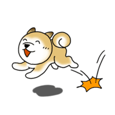 A Japanese dog, Maru sticker #91447