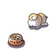 A Japanese dog, Maru sticker #91455