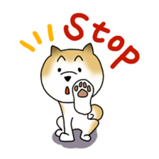 A Japanese dog, Maru sticker #91461