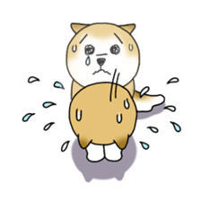 A Japanese dog, Maru sticker #91464