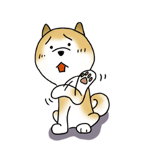 A Japanese dog, Maru sticker #91466