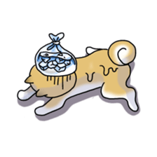 A Japanese dog, Maru sticker #91467