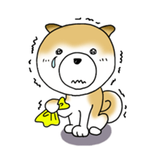 A Japanese dog, Maru sticker #91473