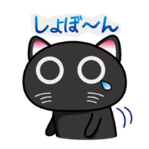 Daily Scheming cat(Part 2) sticker #92056