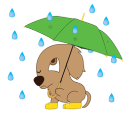 Every day of a pet and Leo sticker #93439