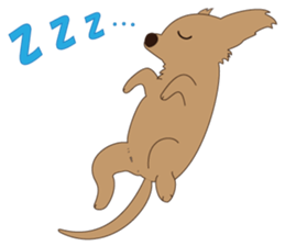 Every day of a pet and Leo sticker #93449