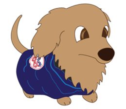 Every day of a pet and Leo sticker #93451