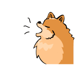 Pomeranian GON sticker #94523