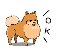 Pomeranian GON sticker #94531