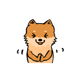 Pomeranian GON sticker #94552