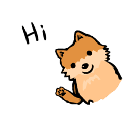 Pomeranian GON sticker #94555