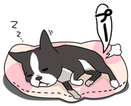 snub nosed dogs love! sticker #95036