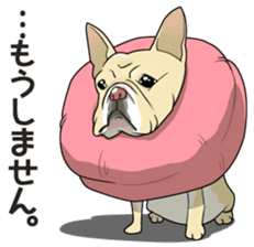 snub nosed dogs love! sticker #95045