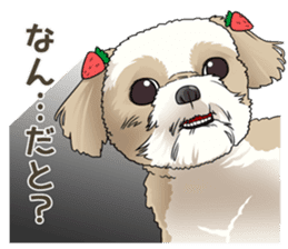 snub nosed dogs love! sticker #95049