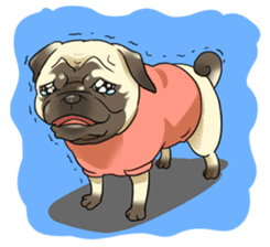 snub nosed dogs love! sticker #95052