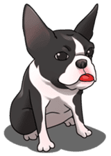 snub nosed dogs love! sticker #95053