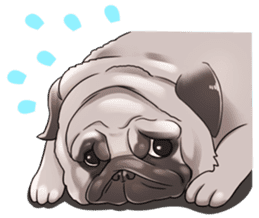 snub nosed dogs love! sticker #95055