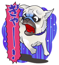 snub nosed dogs love! sticker #95056