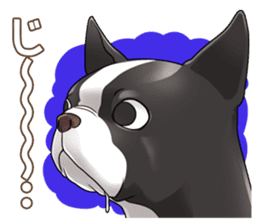 snub nosed dogs love! sticker #95059