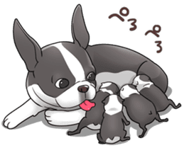 snub nosed dogs love! sticker #95061