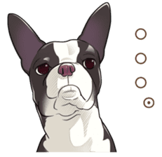 snub nosed dogs love! sticker #95067