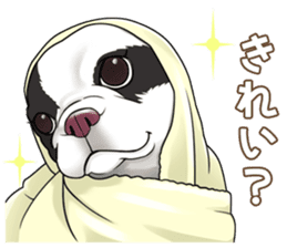 snub nosed dogs love! sticker #95069