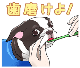 snub nosed dogs love! sticker #95070