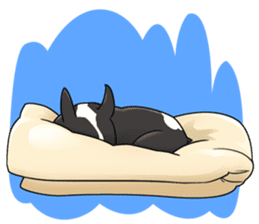 snub nosed dogs love! sticker #95073