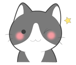 Every day you want help of cat sticker #97517