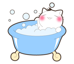 Every day you want help of cat sticker #97520