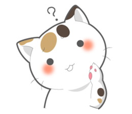 Every day you want help of cat sticker #97527
