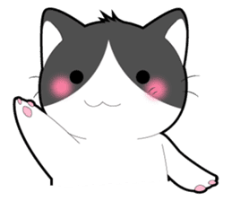 Every day you want help of cat sticker #97529