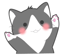 Every day you want help of cat sticker #97533