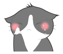 Every day you want help of cat sticker #97534