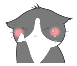 Every day you want help of cat sticker #97534