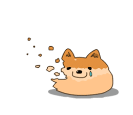Pomeranian Fluff Ball sticker #98960