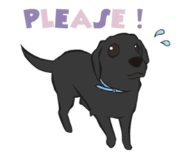 Sweet Cute baby Dogs & Cats Character sticker #102080