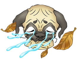 The Humen of Pug sticker #103281