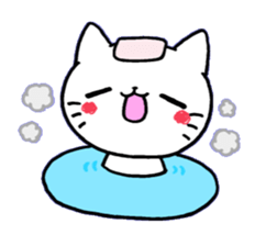 Ayachan-Nekochan sticker #105367